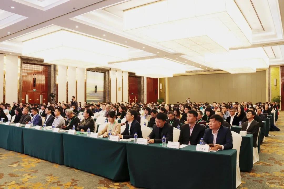 1605145211382982.jpg 1605145211382982.jpg