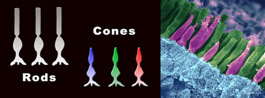 1568601198106245.png